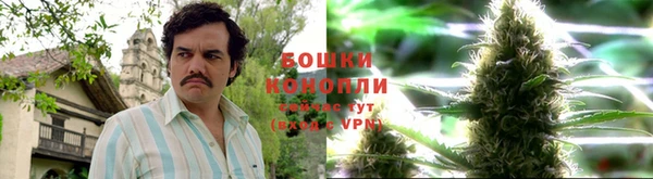 твердый Каменногорск