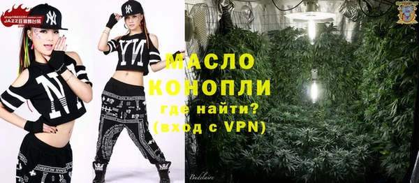 индика Каменск-Шахтинский