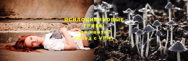 твердый Каменногорск