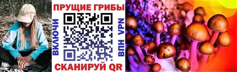 Галлюциногенные грибы GOLDEN TEACHER  Купить где  Железноводск 